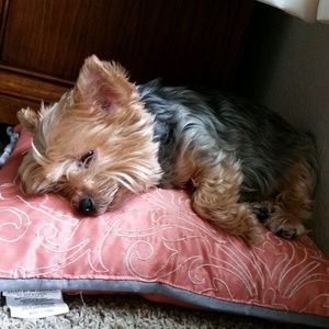 Meet your Posher, Paula